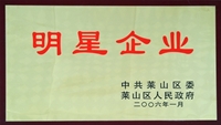 2006年萊山區(qū)明星企業(yè)