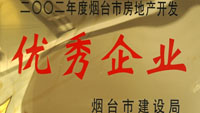 2002年煙臺市房地產(chǎn)開發(fā)優(yōu)秀企業(yè)